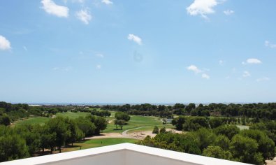 Obra nueva - Apartamento / piso -
Pilar de la Horadada - Lo Romero Golf