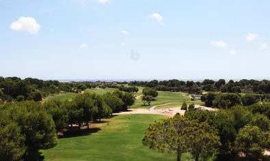 Obra nueva - Ático -
Pilar de la Horadada - Lo Romero Golf