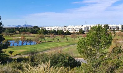 Obra nueva - Villa -
Pilar de la Horadada - Lo Romero Golf