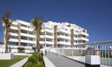 Obra nueva - Apartamento / piso -
Torrox Costa - El Peñoncillo