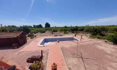 Reventa - Country Property/Finca -
San Miguel de Salinas