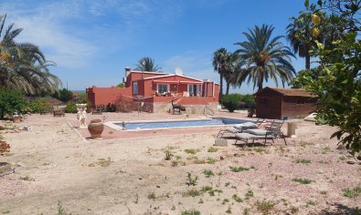 Resale - Country Property/Finca -
San Miguel de Salinas