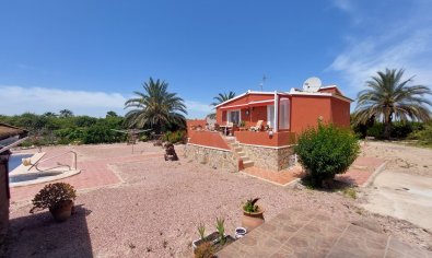 Reventa - Country Property/Finca -
San Miguel de Salinas