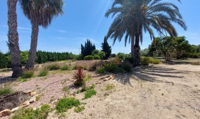 Bestaande bouw - Country Property/Finca -
San Miguel de Salinas