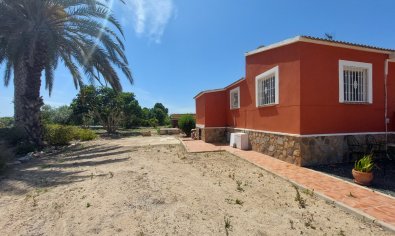 Resale - Country Property/Finca -
San Miguel de Salinas