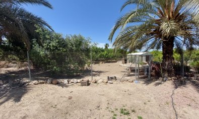 Bestaande bouw - Country Property/Finca -
San Miguel de Salinas