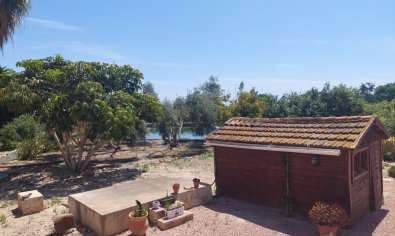 Bestaande bouw - Country Property/Finca -
San Miguel de Salinas