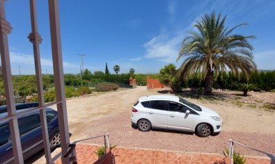 Reventa - Country Property/Finca -
San Miguel de Salinas