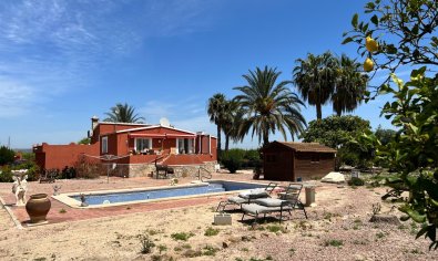 Reventa - Country Property/Finca -
San Miguel de Salinas