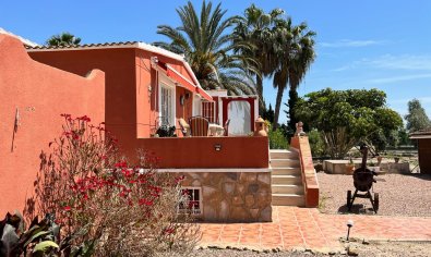 Reventa - Country Property/Finca -
San Miguel de Salinas