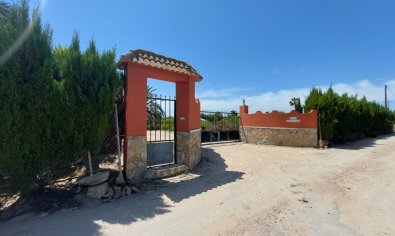 Bestaande bouw - Country Property/Finca -
San Miguel de Salinas