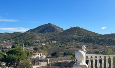 Bestaande bouw - Villa -
Hondón de los Fráiles