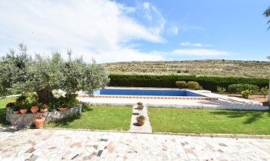 Bestaande bouw - Country House -
Elche - Sierra