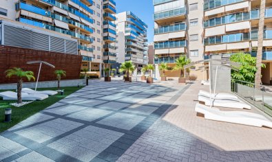 Reventa - Apartamento / piso -
El Campello - El Amerador