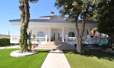 Bestaande bouw - Villa -
Torrevieja - Torreta Florida