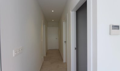 Nieuwbouw Woningen - Villa -
Pinoso - Campo