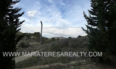 Resale - Country House -
Valle del Sol