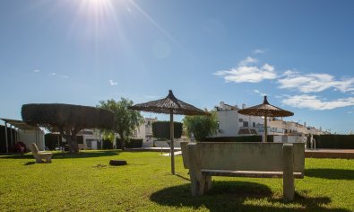 Bestaande bouw - Herenhuis -
Torrevieja - Jardin Del Mar