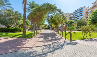 Bestaande bouw - Appartement -
El Campello - El Amerador