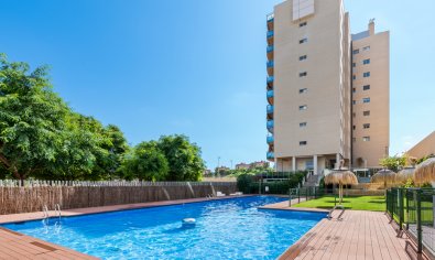 Bestaande bouw - Appartement -
El Campello - El Amerador