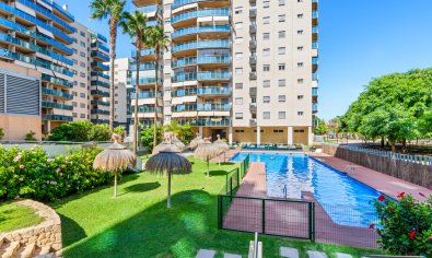 Bestaande bouw - Appartement -
El Campello - El Amerador