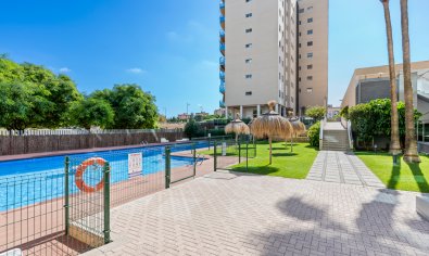 Bestaande bouw - Appartement -
El Campello - El Amerador