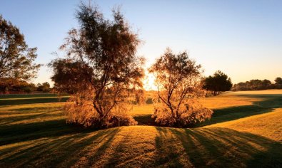 Nieuwbouw villa's in Lo Romero Golf Resort