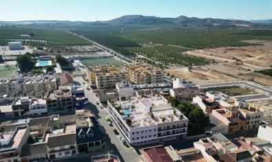 Nieuwbouw appartementen in Algorfa