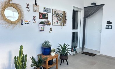 Moderno Apartamento en Planta Baja en Pilar de la Horadada