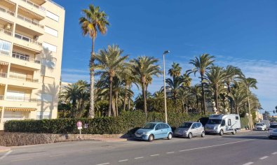 Bestaande bouw - Appartement -
Torrevieja - Playa Los Locos