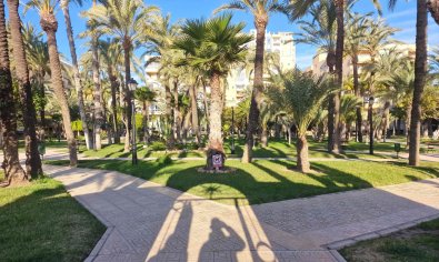 Bestaande bouw - Appartement -
Torrevieja - Playa Los Locos