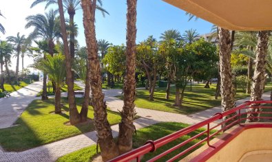 Bestaande bouw - Appartement -
Torrevieja - Playa Los Locos