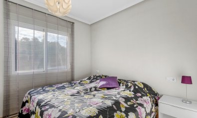 Luxury villa in San Miguel de Salinas with private pool and 6 bedrooms