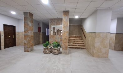 Reventa - Apartamento / piso -
Torrevieja - La Mata