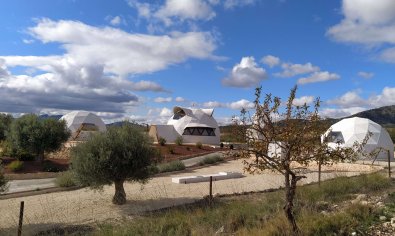 Luxury finca with private pool, 3 bedrooms and 10,000m² of land in Pinoso