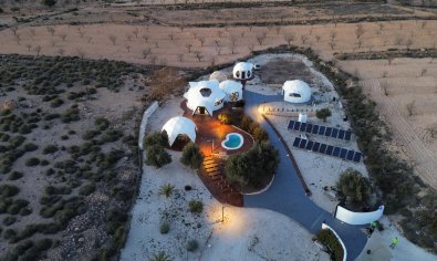 Luxury finca with private pool, 3 bedrooms and 10,000m² of land in Pinoso