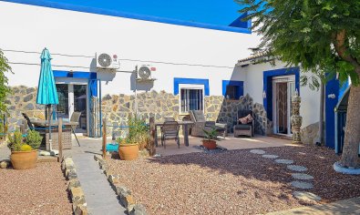 Resale - Finca -
Crevillente