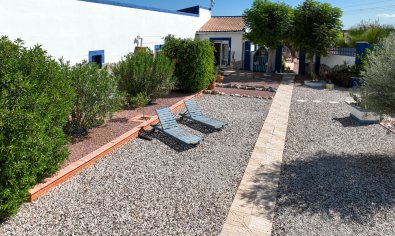 Resale - Finca -
Crevillente