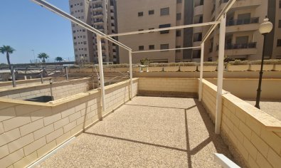 Reventa - Apartamento / piso -
Guardamar del Segura