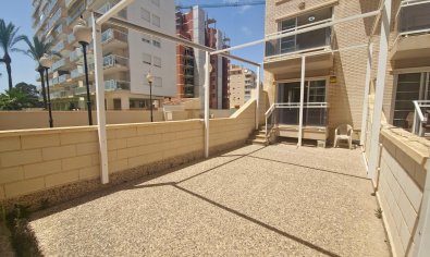 Reventa - Apartamento / piso -
Guardamar del Segura