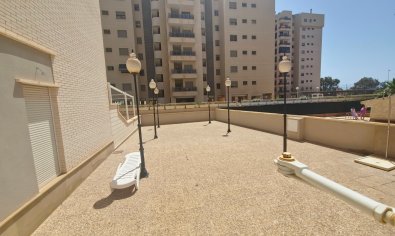 Reventa - Apartamento / piso -
Guardamar del Segura