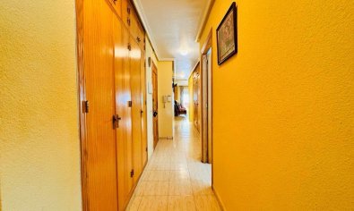 Bestaande bouw - Appartement -
Torrevieja - Pueblo/ PLAYA