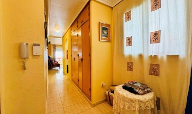 Bestaande bouw - Appartement -
Torrevieja - Pueblo/ PLAYA