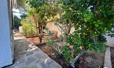 Resale - Villa -
Albir