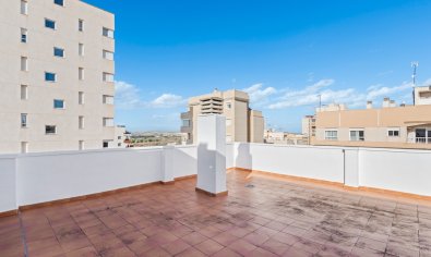 Bestaande bouw - Appartement -
Guardamar del Segura - Pueblo