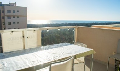 Bestaande bouw - Appartement -
Guardamar del Segura - puerto deportivo