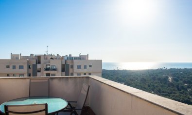 Bestaande bouw - Appartement -
Guardamar del Segura - puerto deportivo