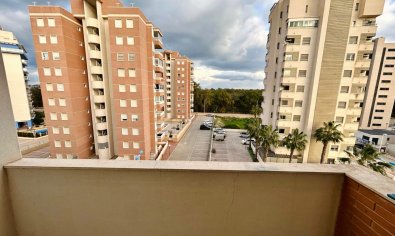 Reventa - Apartamento / piso -
Guardamar del Segura