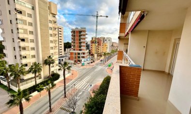 Reventa - Apartamento / piso -
Guardamar del Segura