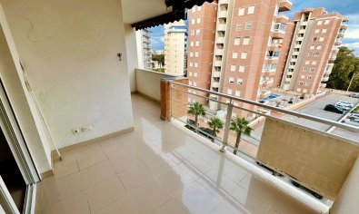 Reventa - Apartamento / piso -
Guardamar del Segura